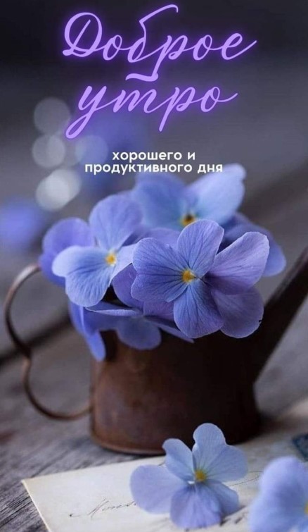 Доброе утро, хорошего и продуктивного дня!