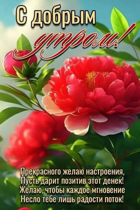 Этим утром желаю прекрасного настроения