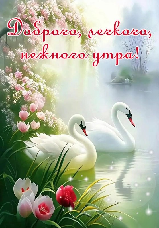 Доброго, легкого, нежного утра!