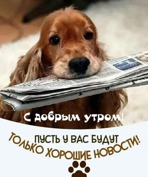 С добрым утром! Пусть у вас будут только хорошие новости!