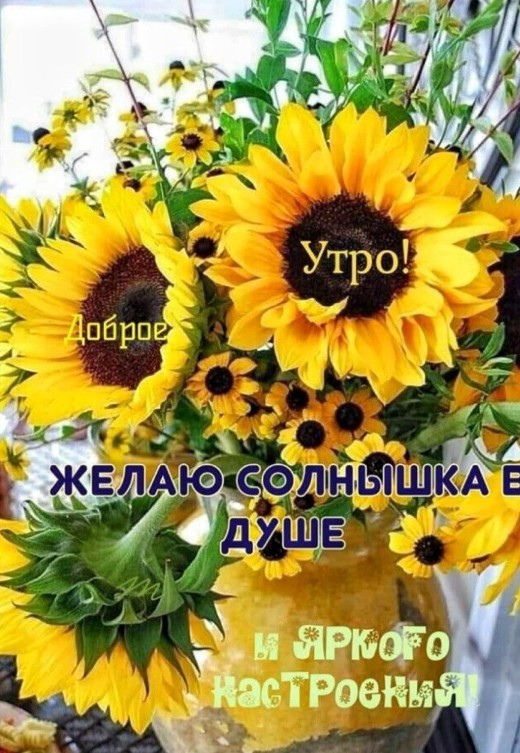 Доброе утро, желаю солнышка и яркого насттроения