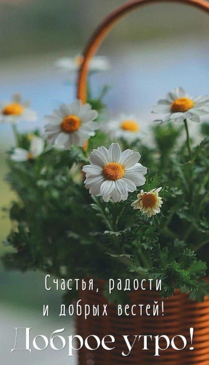 Счастья, радости и добрых вестей!