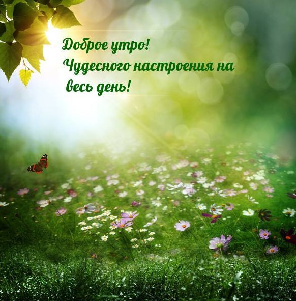 Доброе утро, чудесного настроения на весь день!
