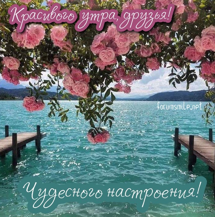 Красивого утра, друзья! Чудесного настроения!
