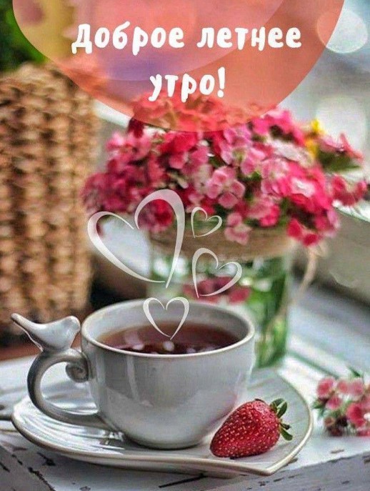 Доброе летнее утро!