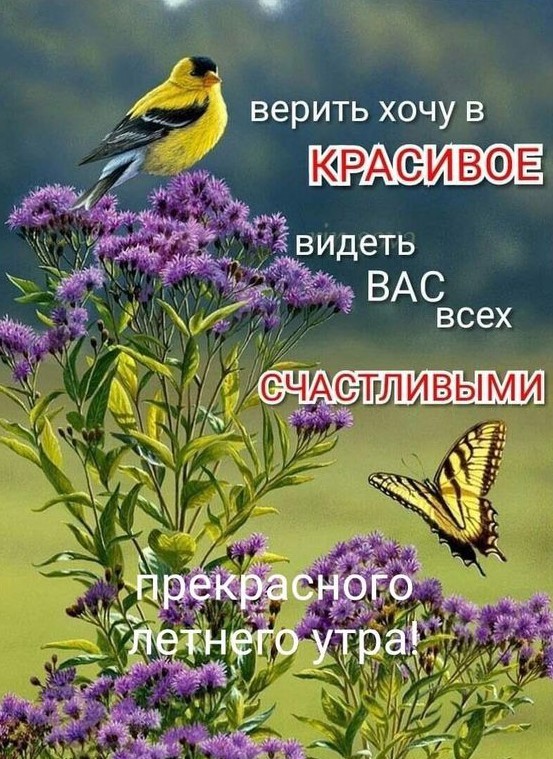 Картинка с птичкой и пожеланием  прекрасного летнего утра