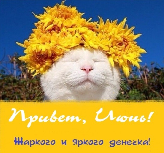 Привет, июнь! Жаркого и яркого денечка!