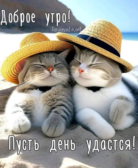 Картинка с добрым утром, пусть день удастся!
