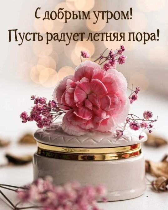 С добрым утром, пусть радует летняя пора!