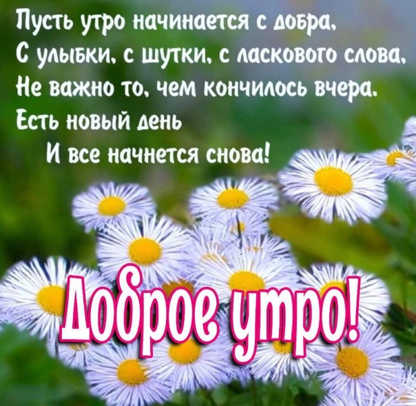 Пусть утро начинается с добра, с улыбки, с шутки, с ласкового слова