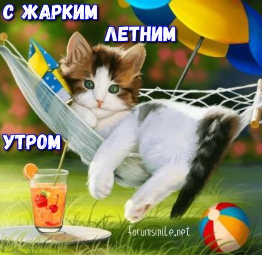 С жарким летним утром!