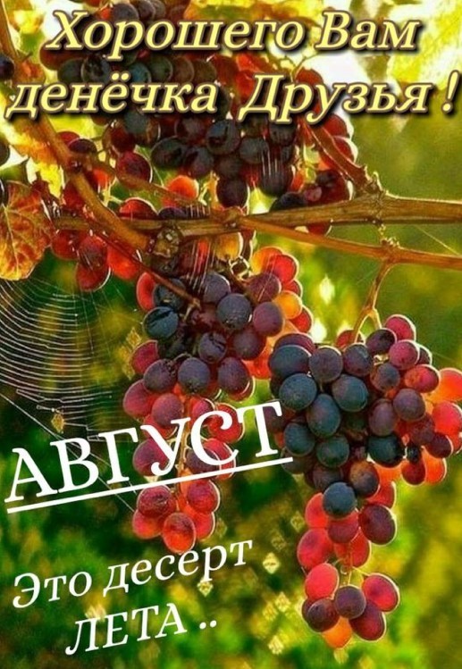 Август - это десерт лета