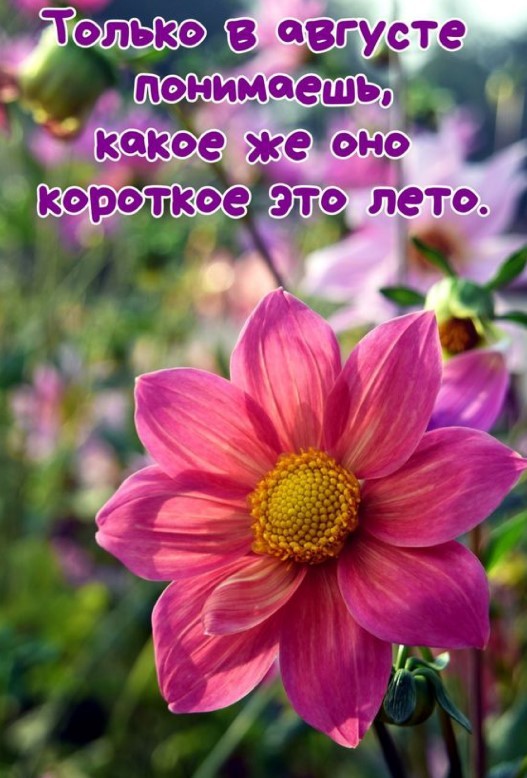 Только в августе понимаешь, какое же оно короткое это лето