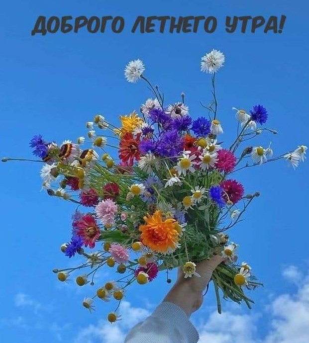 Букет полевых цветов на фоне голубого неба