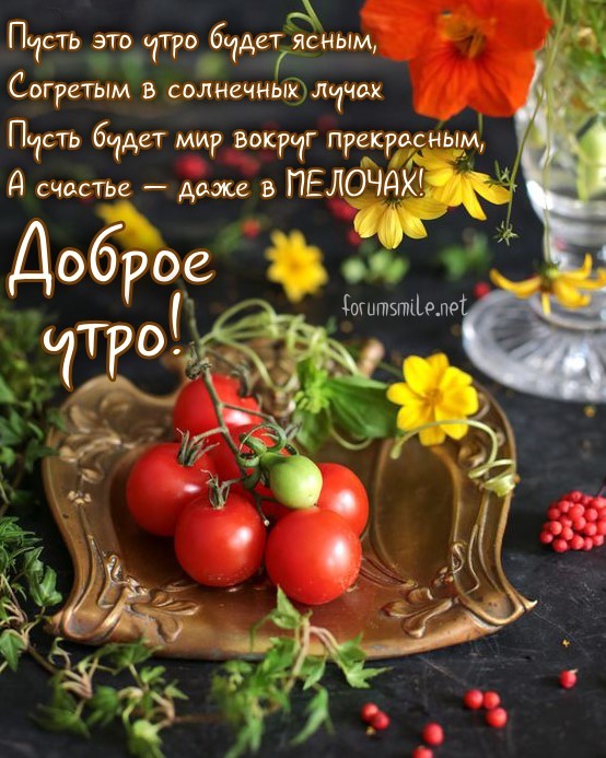 Доброе утро, пусть будет мир вокруг прекрасным!