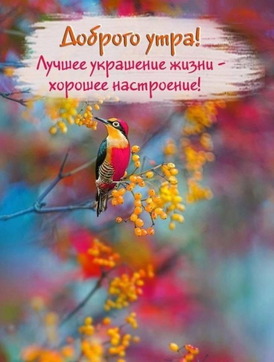 Доброго тебе утра, лучшее украшение жизни это хорошее настроение