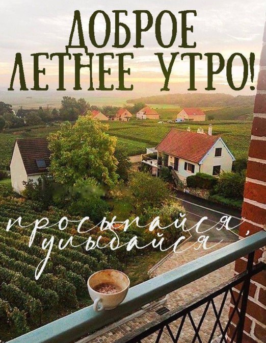 Доброе летнее утро, просыпайся, умывайся