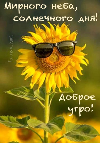 Мирного неба, доброго утра и солнечного дня