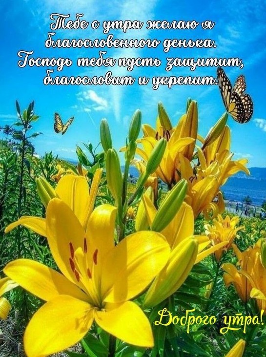 Тебе с утра желаю я благословенного денька
