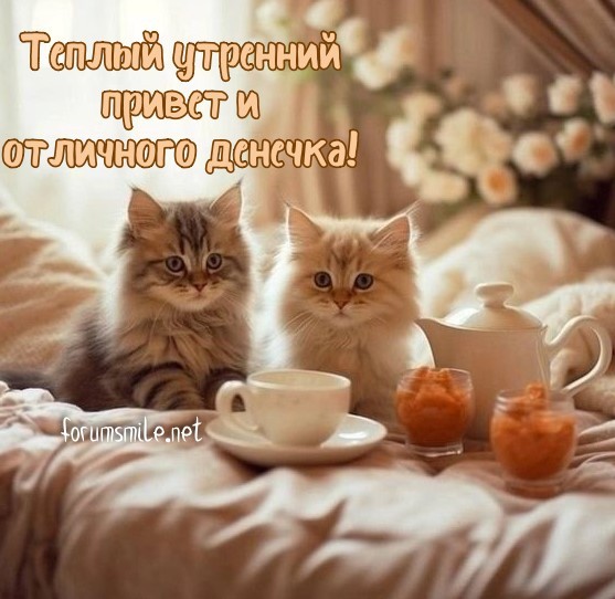 Теплый утренний привет и отличного денечка!