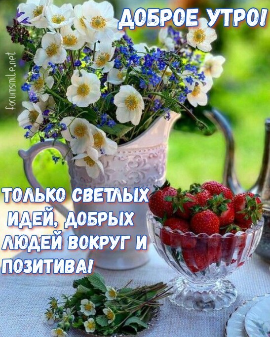 Доброе утро, только светлых идей, добрых людей вокруг и позитива!