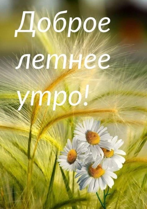 Саоме доброе и самое летнее утро