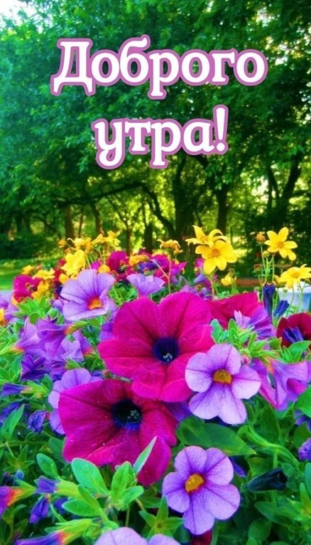 Картинка с чудесными цветами