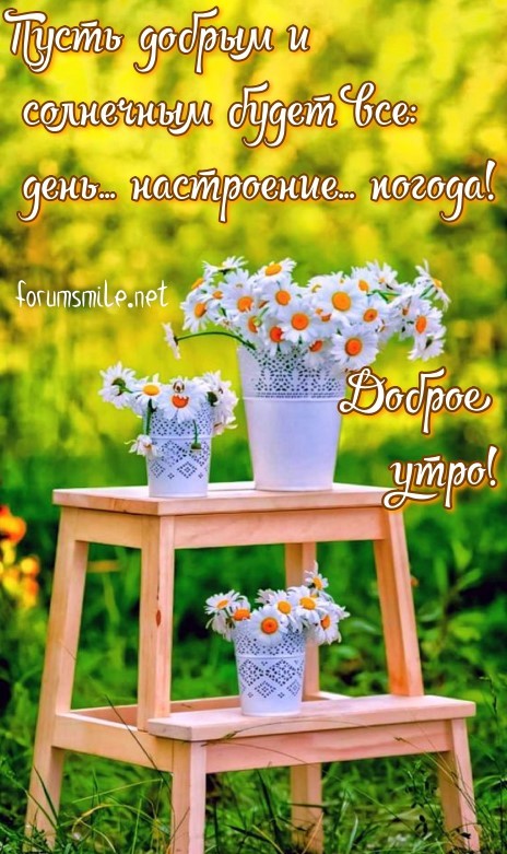 С добрым утром, солнечного дня!