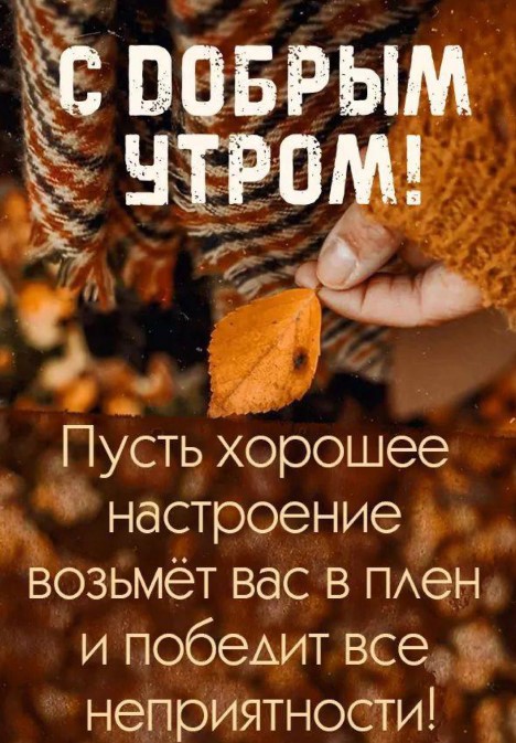 С добрым осенним утром, пусть хорошее настроение возьмет вас в плен!