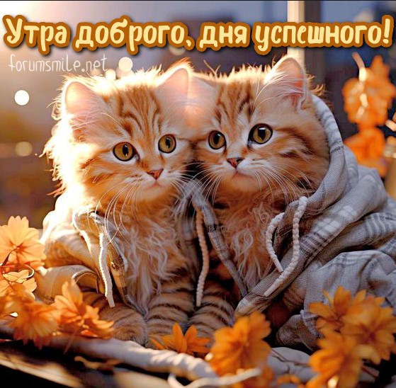 Утра доброго, дня успешного!