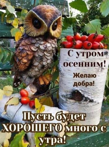 С утром осенним, желаю добра! Пусть будет хорошего много с утра!