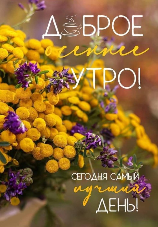 Доброе осеннее утро, сегодня самый лучший день!