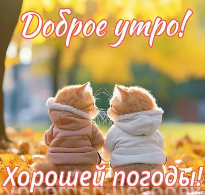 60312-dobroye-utro-i-khoroshey-pogody-za