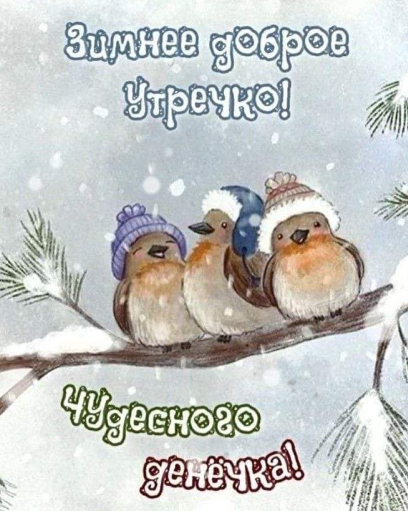 Зимнее доброе утречко! Чудесного денечка!