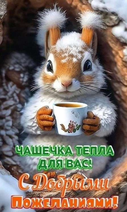 Картинка доброго дня, белочка с чашкой 