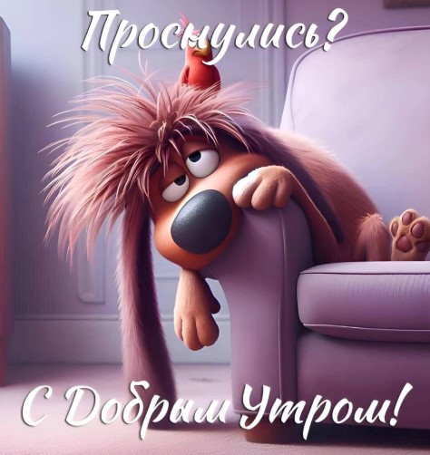 Проснулись? С добрым утром!