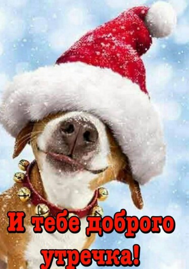 И тебе доброго зимнего утречка!