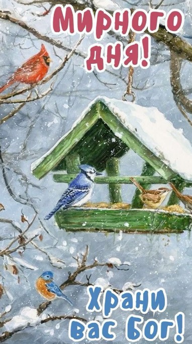 Зимнего мирного дня! Храни Вас Бог!