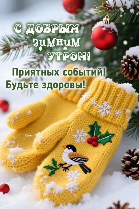 64202-s-dobrym-zimnim-utrom-budte-zdorov