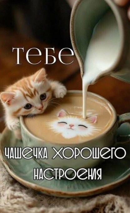 Открытка с пожеланием хорошего настроения с милым котиком