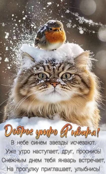Доброе утро Января!