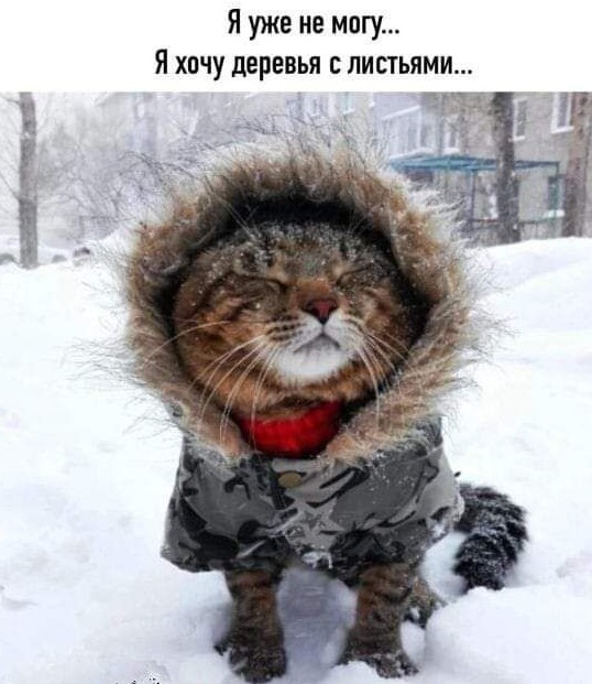 Доброе утро! Ну когда уже весна!