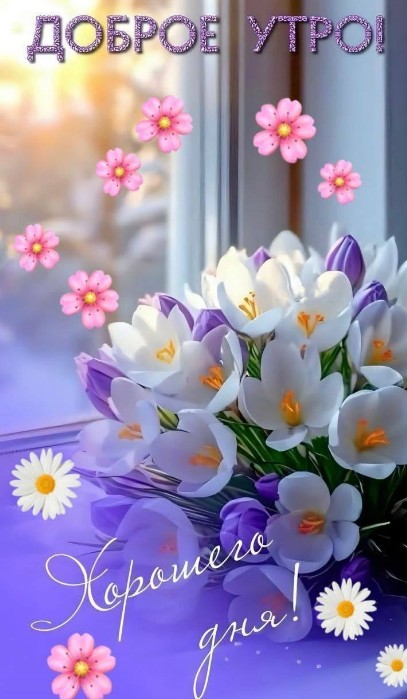 С добрым утром, новым днем!