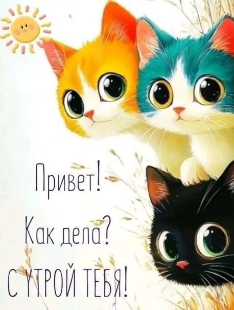 Доброе утро! Как дела? Удачного дня!