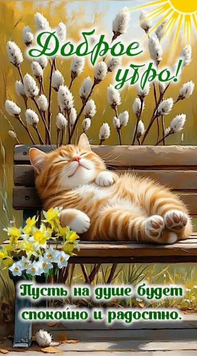 Открытка С добрым утром с рыжим котом и вербой
