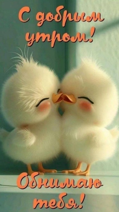 Милая открытка С добрым утром: два пушистых цыпленка