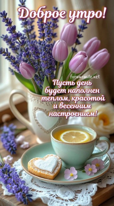 Утренняя открытка с букетом фиолетовых тюльпанов, лавандой, чашкой чая и печеньем в форме сердца на столе