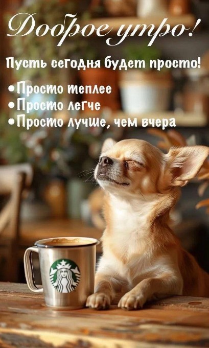 Милая собачка чихуахуа с кружкой кофе Starbucks, надпись Доброе утро, уютная атмосфера