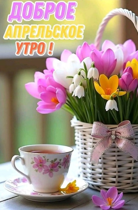 Открытка с надписью Доброе апрельское утро, корзинка с весенними цветами крокусами и чашка чая на столе
