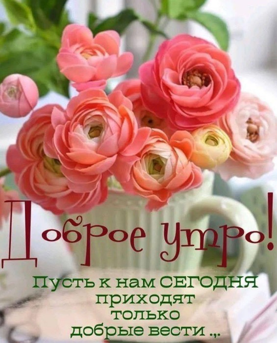 Открытка Доброе утро с красивыми цветами